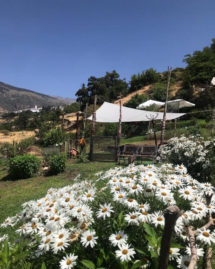 "Casa Ibero" Bubion, Alojamiento Turistico Rural 外观 照片