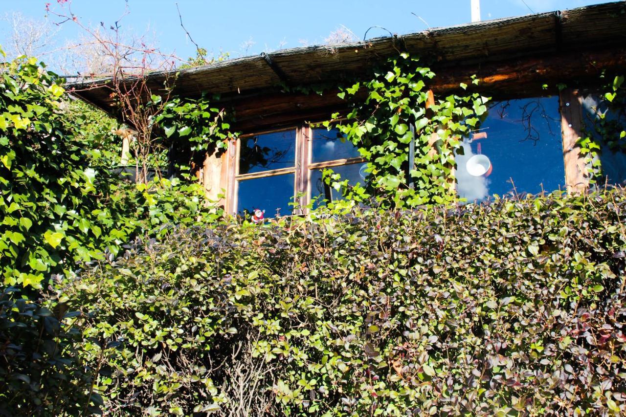 "Casa Ibero" Bubion, Alojamiento Turistico Rural 外观 照片