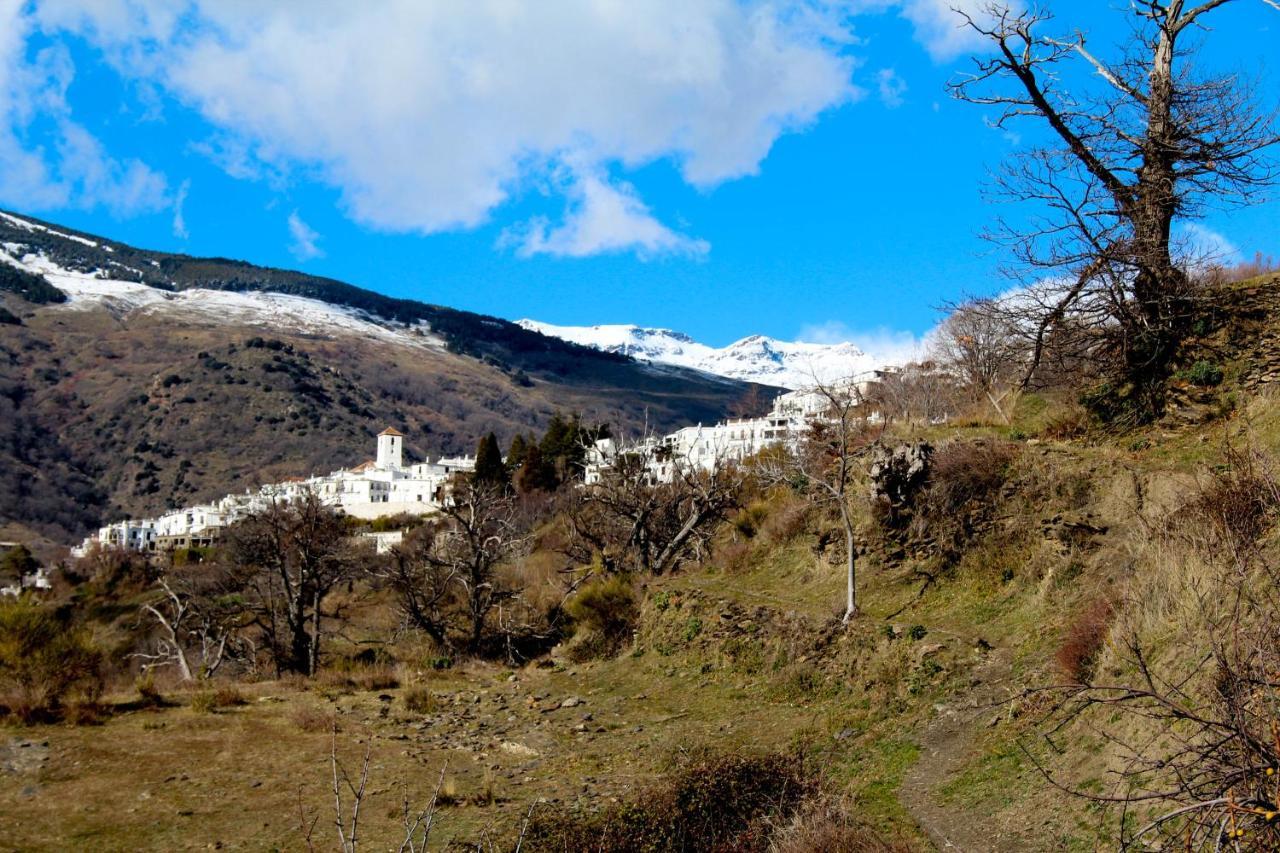 "Casa Ibero" Bubion, Alojamiento Turistico Rural 外观 照片