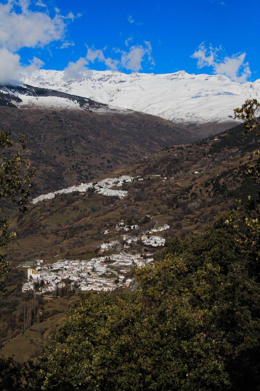 "Casa Ibero" Bubion, Alojamiento Turistico Rural 外观 照片